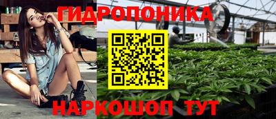 ALPHA PVP Бийск