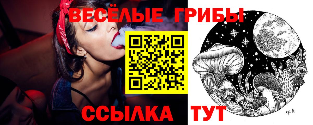 Галлюциногенные грибы Cubensis Киселёвск