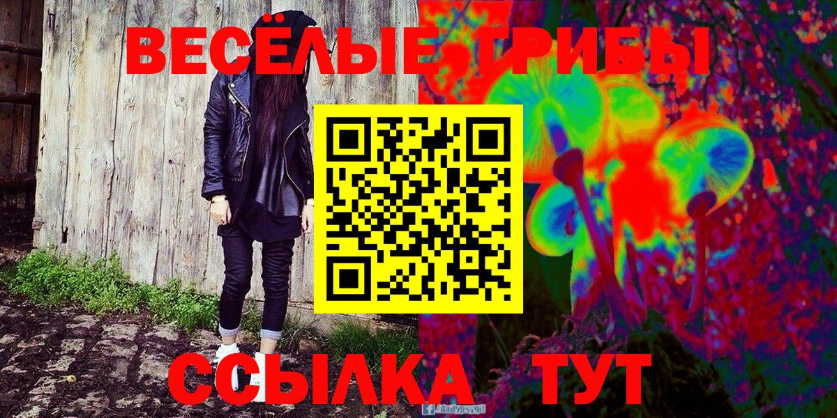Киселёвск  Галлюциногенные грибы мухоморы  Вход с VPN  Псилоцибиновые грибы GOLDEN TEACHER 